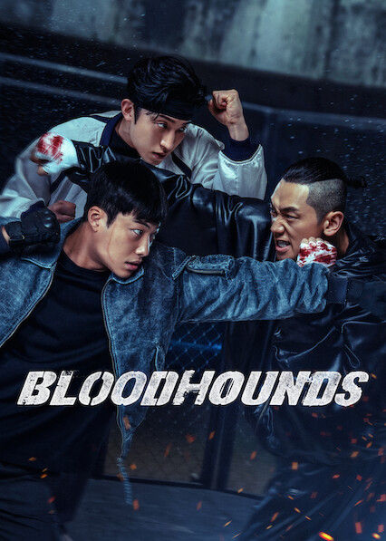 Bloodhounds Season 2 Web Series NF WEB-DL Hindi English Korean 4K 1080p 720p 480p | 10Bit DS4K